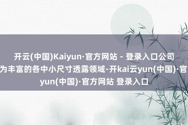 开云(中国)Kaiyun·官方网站 - 登录入口公司聚焦应用场景较为丰富的各中小尺寸透露领域-开kai云yun(中国)·官方网站 登录入口