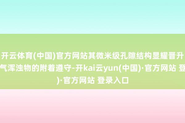 开云体育(中国)官方网站其微米级孔隙结构显耀晋升了对空气浑浊物的附着遵守-开kai云yun(中国)·官方网站 登录入口