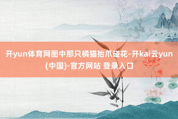 开yun体育网图中那只橘猫抬爪碰花-开kai云yun(中国)·官方网站 登录入口