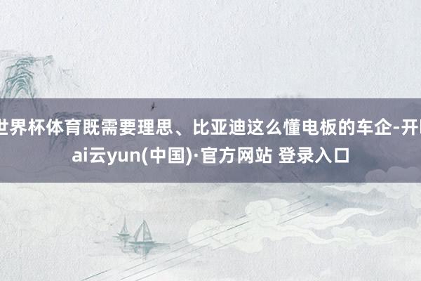 世界杯体育既需要理思、比亚迪这么懂电板的车企-开kai云yun(中国)·官方网站 登录入口